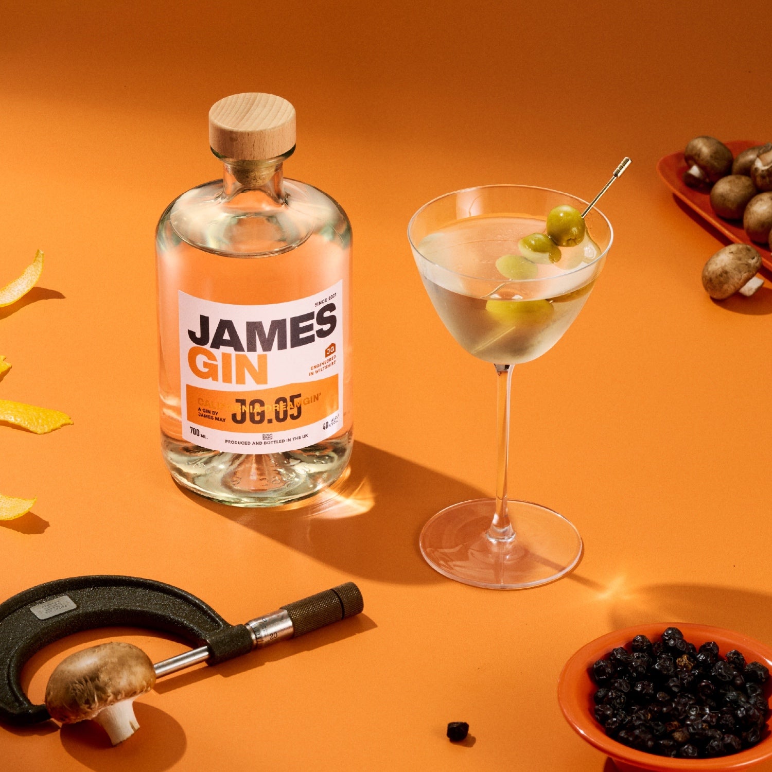 Mama's Martini | California Dreamgin' Gin Martini Recipe | James Gin