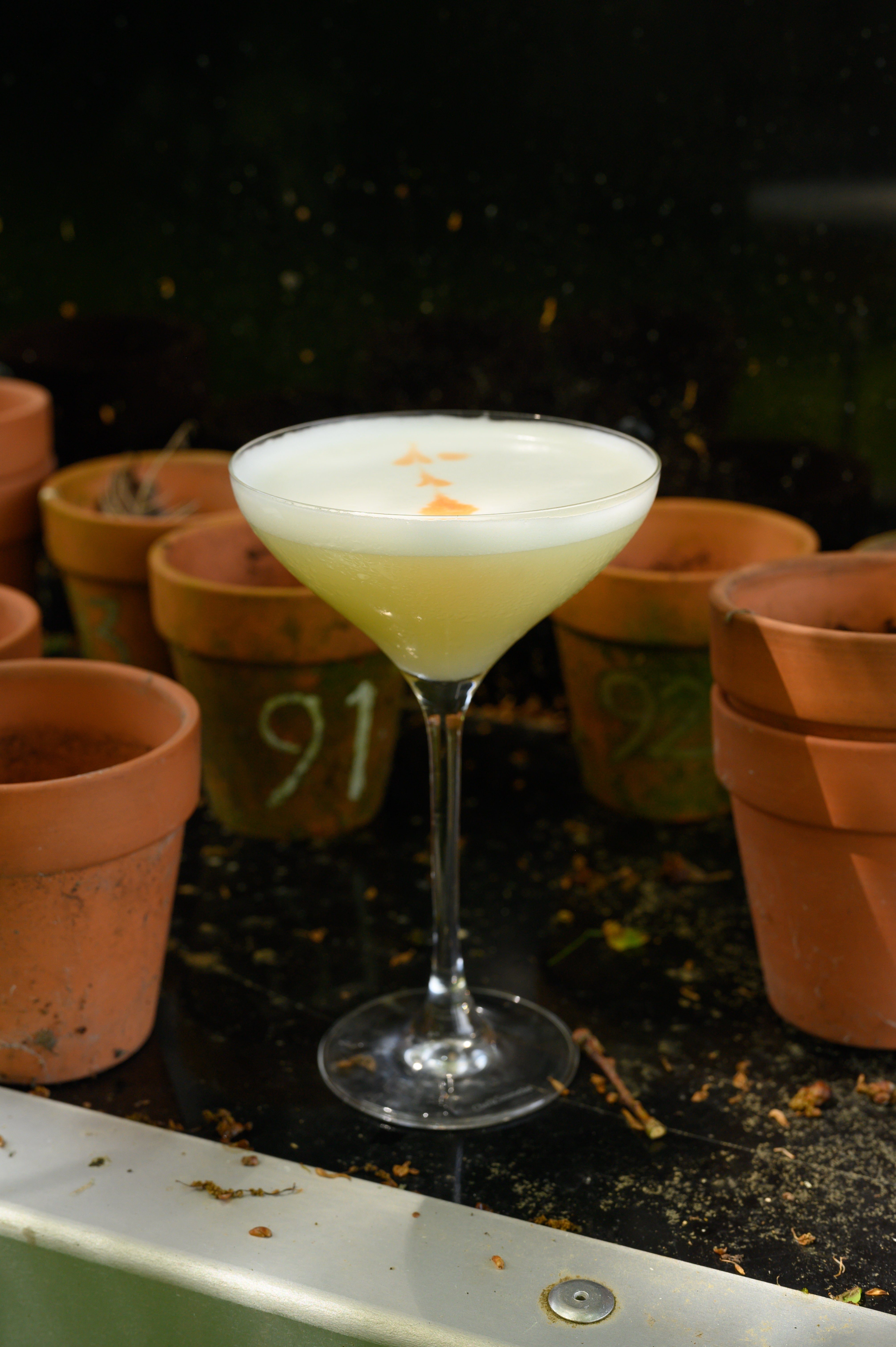 Yuzu Sour